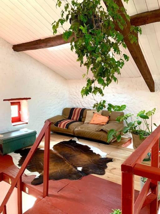 Bergerie Geldi Leku Villa Saint-Jean-le-Vieux  Buitenkant foto
