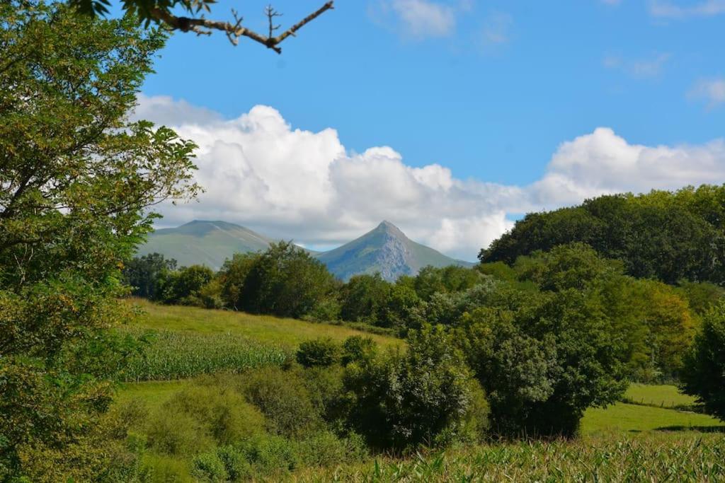 Bergerie Geldi Leku Villa Saint-Jean-le-Vieux  Buitenkant foto